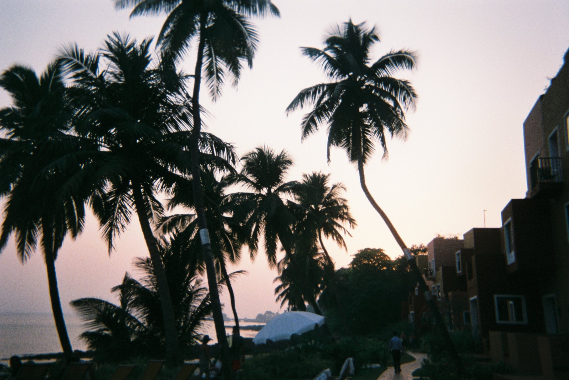 Film portrait in Byron Bay